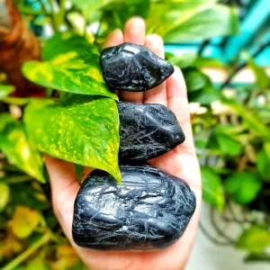 Black Tourmaline Freeforms