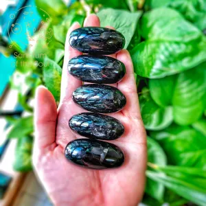 Black Tourmaline Lingam (Premium)
