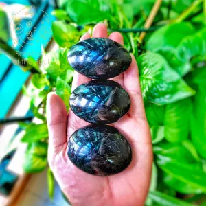 Black Tourmaline Palm Stones (Premium)