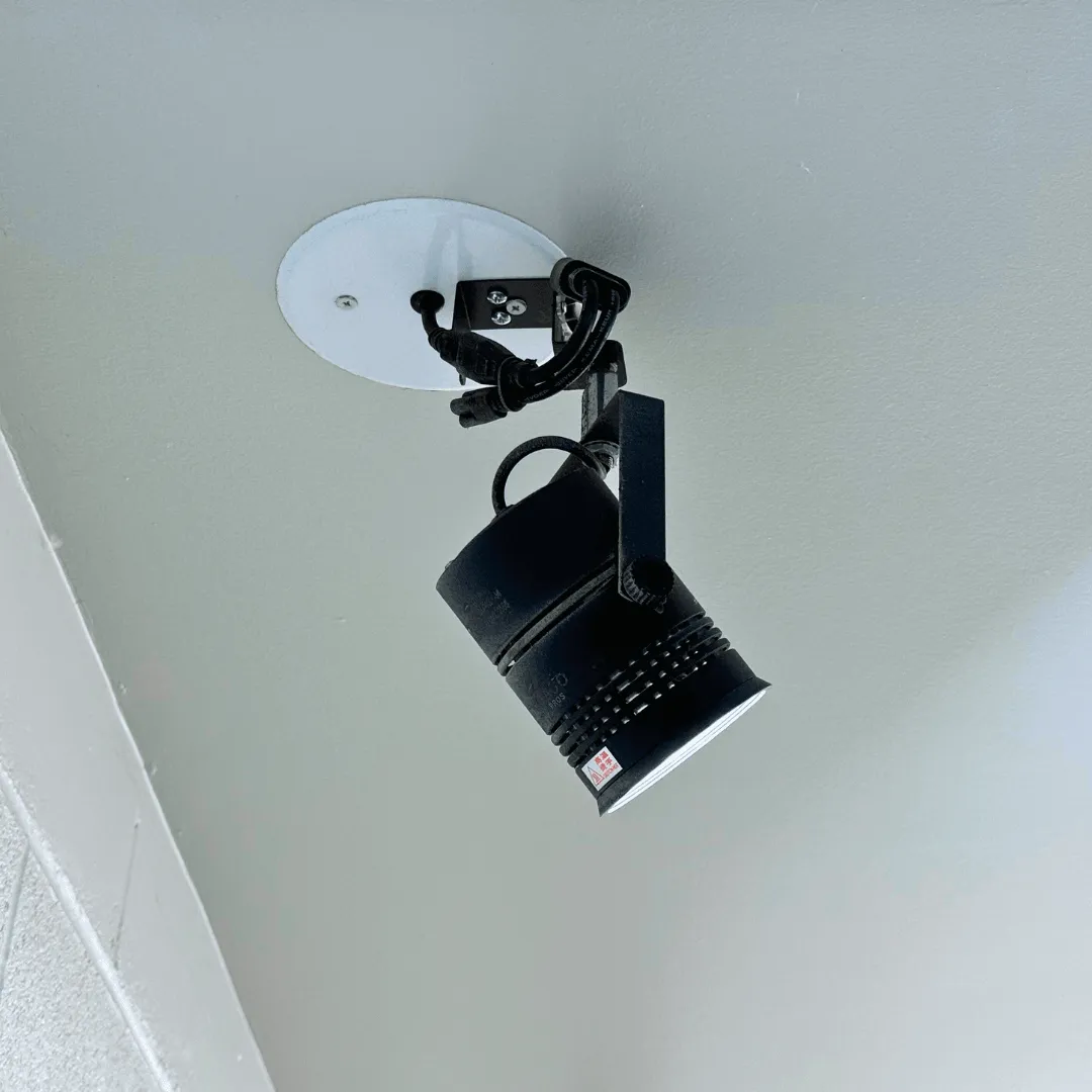 CSW Precision Detailing LED Shop Light - Color Temperature Changing and Dimmable