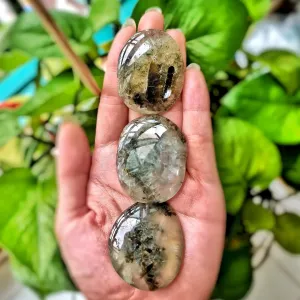 Epidote in Prehnite Palm Stones
