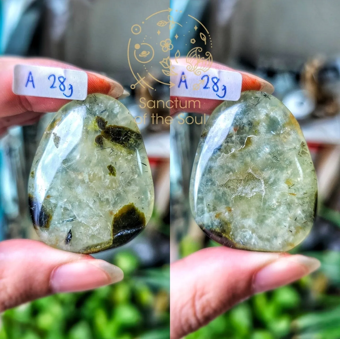 Epidote in Prehnite Palm Stones