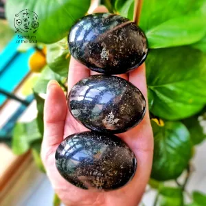 Galaxy Jasper Palm Stones